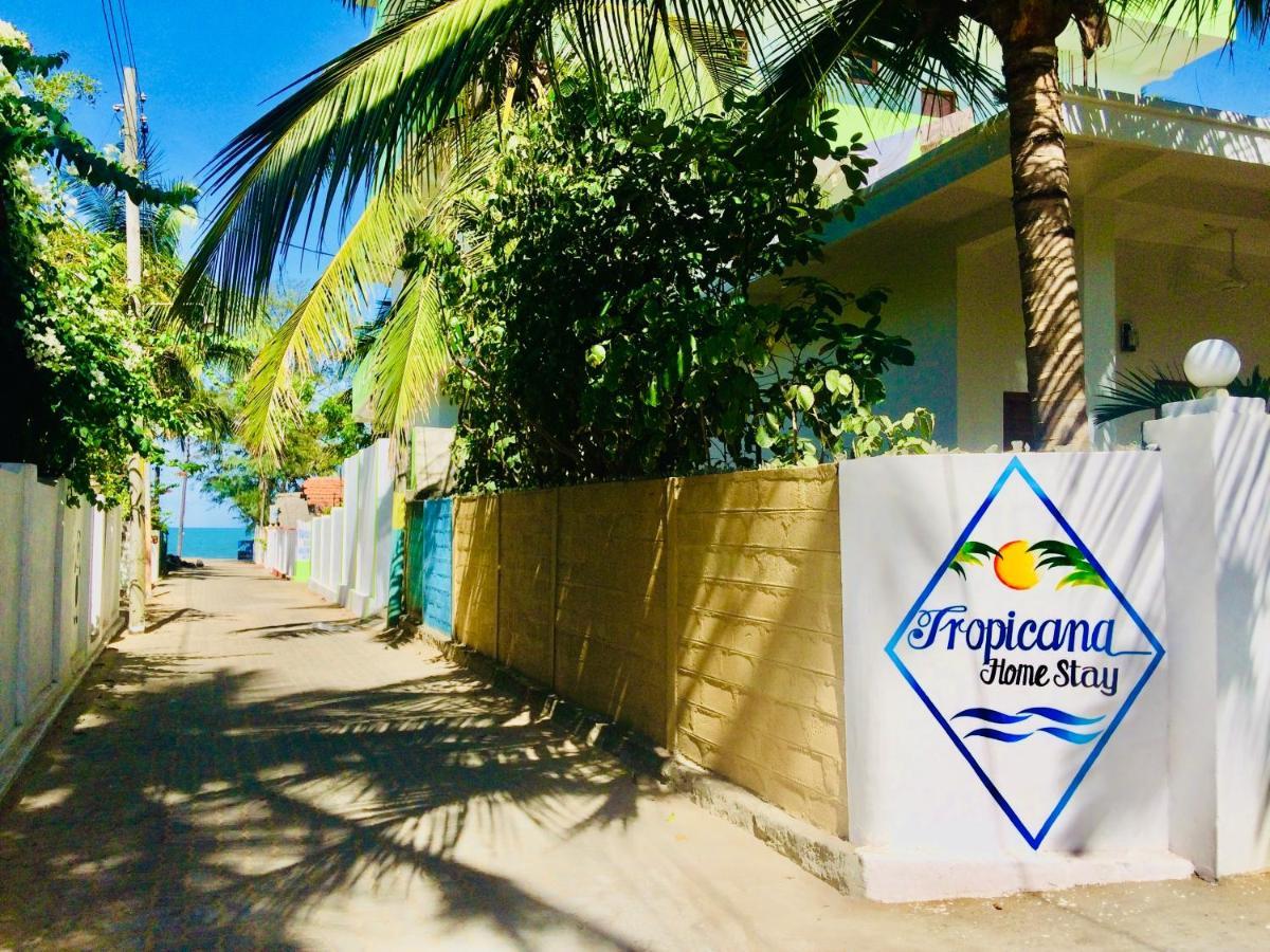 Tropicana Home Stay Arugam Bay Kültér fotó